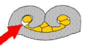 图片9.png