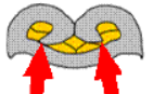 图片14.png
